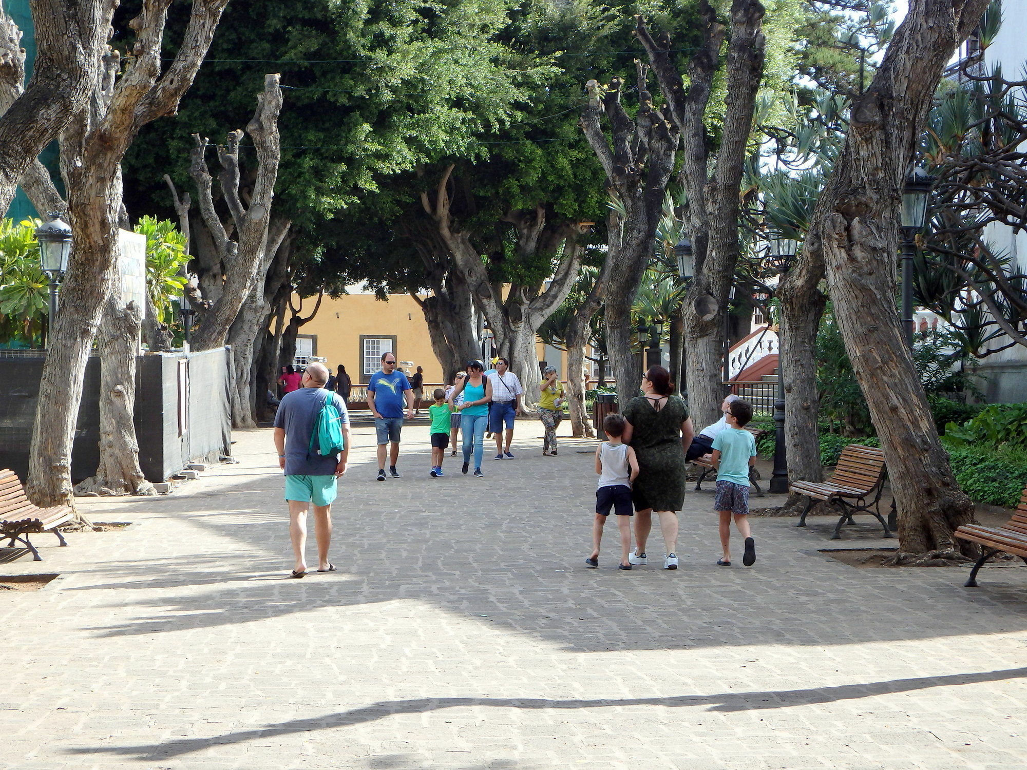 Studio Atlantic View Icod De Los Vinos Exterior foto